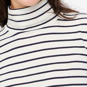 J Crew Womens Turtleneck Sweater Plus Size Striped 100%Cotton Size 2X
